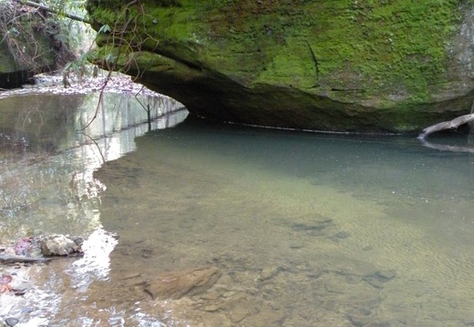 Chimney Top Creek - Koomer Ridge Trail - 1